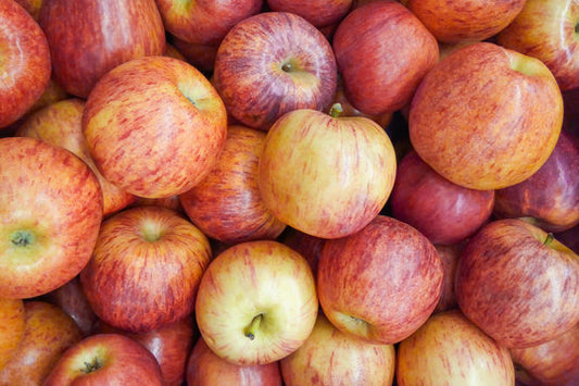 Gala Apples - Pack of 6 premium apples